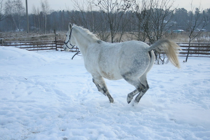 IMG_1584.jpg1.jpg"%20height="533"%20width="800